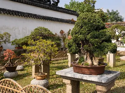 Tour Thượng Hải - Ô Trấn - Hàng Châu - Tô Châu 5 ngày 5 đêm (ảnh 3)