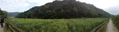 Tour Hoàng Sơn - Vụ Nguyên - Cảnh Đức Trấn - Hoành Thôn 5 ngày 4 đêm (ảnh 3)