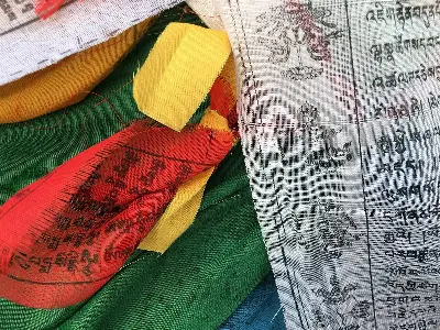 Tour Tây Tạng Huyền Bí: Lhasa - Shigatse - Hồ Yamdrok 6 ngày 5 đêm (ảnh 3)