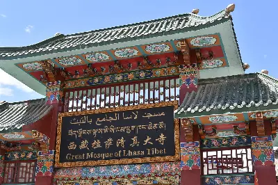 Tour Tây Tạng Huyền Bí: Lhasa - Shigatse - Hồ Yamdrok 6 ngày 5 đêm (ảnh 4)