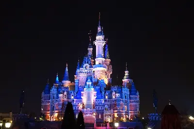 Tour Thượng Hải - Ô Trấn - Ngày tự do Disneyland 5 ngày 4 đêm (ảnh 2)