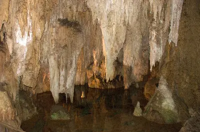 Tour Trùng Khánh - Vũ Long: Thiên Sinh Tam Kiều - Núi Tiên Nữ 6 ngày 5 đêm (ảnh 5)