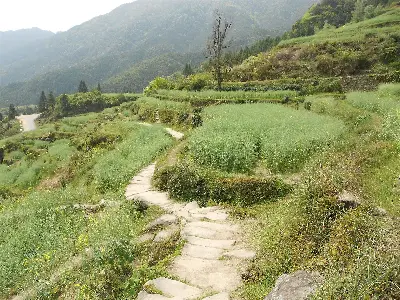 Tour Vũ Hán - Hoàng Hạc Lâu - Giang Tây: Linh Sơn - Vọng Tiên Cốc - Nam Xương 6 ngày 5 đêm (ảnh 5)