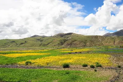 Tour Khám Phá Tây Tạng: Lhasa - Shigatse - Hồ Namtso 8 ngày 7 đêm (ảnh 4)