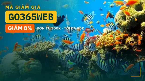 Khám phá vẻ đẹp biển 3 đảo Nha Trang