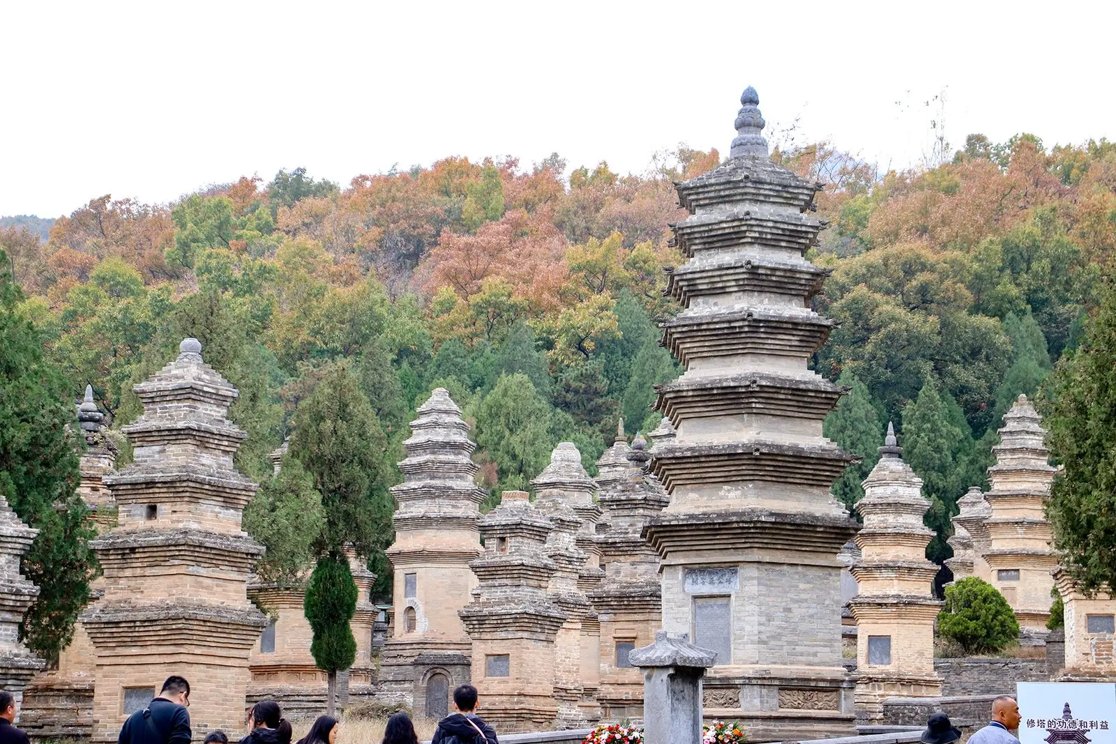 Tour Khai Phong - Thiếu Lâm Tự - Lạc Dương - Tây An 6 ngày 5 đêm — Trung Quốc