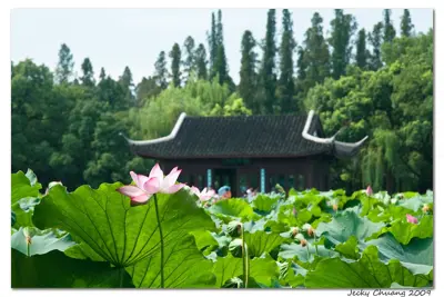Tour Giang Nam Hành: Thượng Hải - Tô Châu - Ô Trấn - Hàng Châu 4 ngày 3 đêm (ảnh 4)