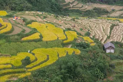 Tailor Tour Sapa Theo Yêu Cầu