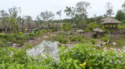 Vé Công Viên Chủ Đề VinWonders Phú Quốc - Safari Phú Quốc (Tùy chọn công viên giải trí)