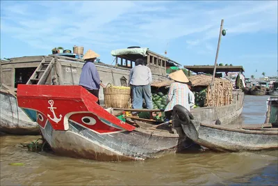 TOUR CẦN THƠ – CỦ CHI 1 NGÀY (ảnh 4)