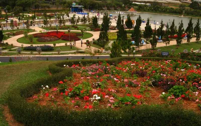 TOUR KHÁM PHÁ NGOẠI THÀNH ĐÀ LẠT (ảnh 4)