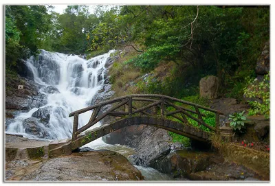 Tour Đà Lạt Du Ngoạn Thác Datanla - Pongour, Chùa, Tơ Lụa (ảnh 4)