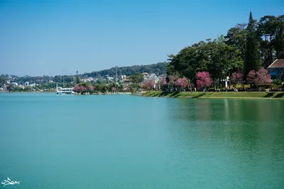 KHÁM PHÁ ĐÀ LẠT 3 NGÀY 2 ĐÊM