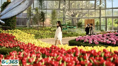 COMBO NHA TRANG 4 NGÀY 3 ĐÊM (ảnh 3)