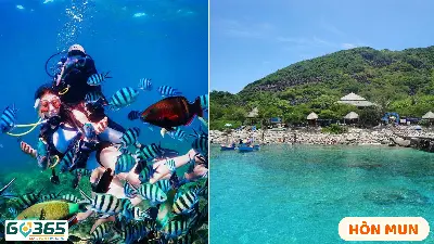 COMBO NHA TRANG 4 NGÀY 3 ĐÊM (ảnh 4)