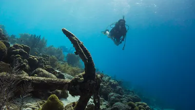Avatar Super Sport Nha Trang – Scuba Diving & Watersports at Vega City (photo 4)