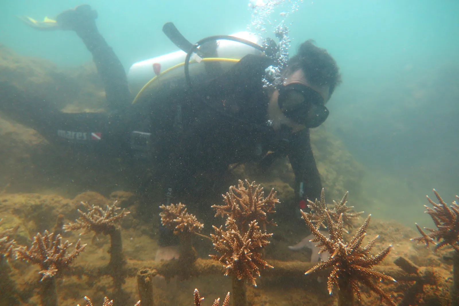 Avatar Super Sport Nha Trang – Scuba Diving & Watersports at Vega City — Nha Trang — Khánh Hòa, Vietnam