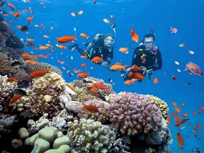 Avatar Super Sport Nha Trang – Scuba Diving & Watersports at Vega City (photo 2)