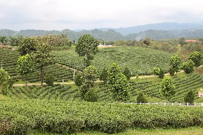 TOUR ẤN TƯỢNG CHIANG MAI – CHIANG RAI 4 NGÀY 3 ĐÊM