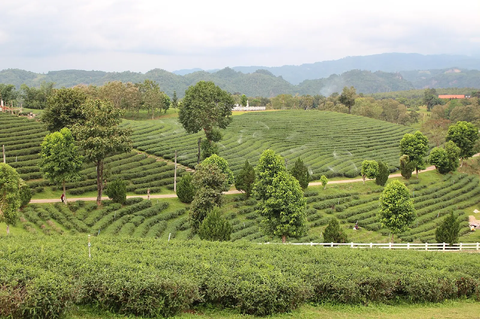 TOUR ẤN TƯỢNG CHIANG MAI – CHIANG RAI 4 NGÀY 3 ĐÊM — Thái Lan