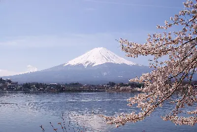 TOUR NHẬT BẢN: LỄ HỘI HOA ANH ĐÀO – PHÚ SĨ – KYOTO – OSAKA 6 NGÀY 5 ĐÊM