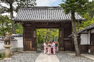 TOUR NHẬT BẢN: LỄ HỘI HOA ANH ĐÀO – PHÚ SĨ – KYOTO – OSAKA 6 NGÀY 5 ĐÊM (ảnh 2)