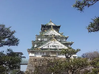 TOUR NHẬT BẢN: LỄ HỘI HOA ANH ĐÀO – PHÚ SĨ – KYOTO – OSAKA 6 NGÀY 5 ĐÊM (ảnh 3)