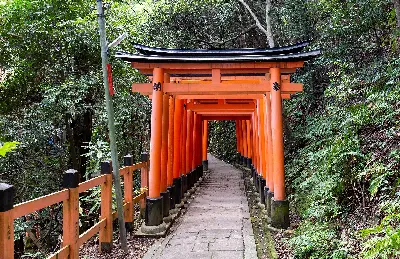 TOUR NHẬT BẢN CUNG ĐƯỜNG VÀNG MÙA HÈ 6 NGÀY 5 ĐÊM