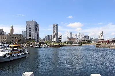 TOUR NHẬT BẢN: SHIZUOKA – PHÚ SĨ – TOKYO – YOKOHAMA 6 NGÀY 5 ĐÊM (BAY TỪ ĐÀ NẴNG) (ảnh 3)