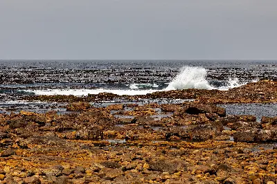 TOUR NAM PHI: JOHANNESBURG – CAPE TOWN – MŨI HẢO VỌNG 8 NGÀY 7 ĐÊM (ảnh 2)