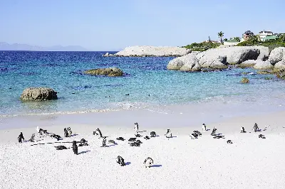 TOUR NAM PHI: JOHANNESBURG – CAPE TOWN – MŨI HẢO VỌNG 8 NGÀY 7 ĐÊM (ảnh 3)