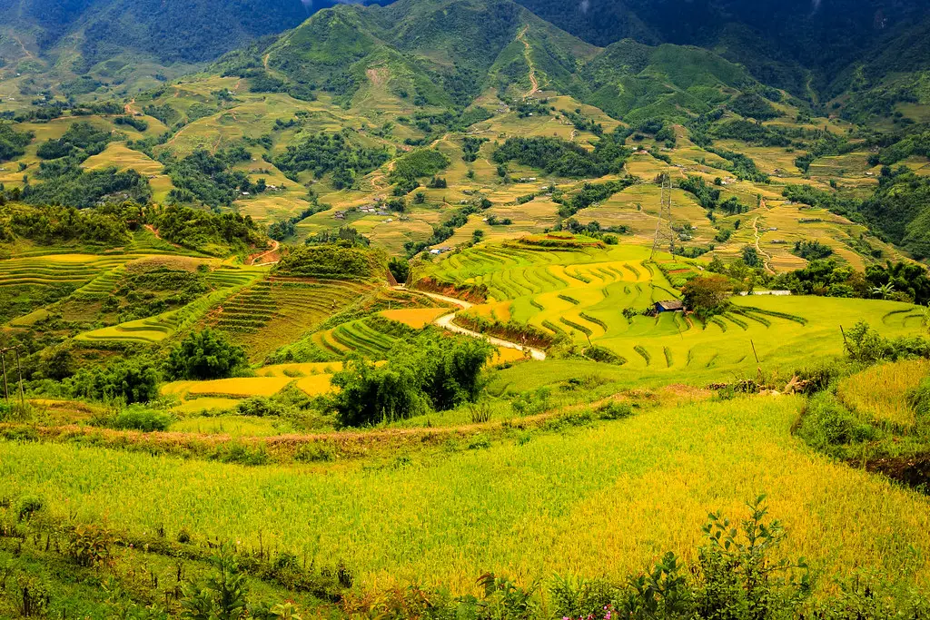 TOUR SA PA 3 NGÀY 2 ĐÊM: LAO CHẢI – TẢ VAN – TẢ GIÀNG PHÌNH — Sa Pa