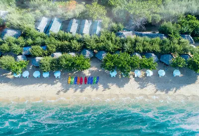 VÉ THAM QUAN ĐẢO KHỈ – ĐẢO HOA LAN (VỊNH NHA PHU)