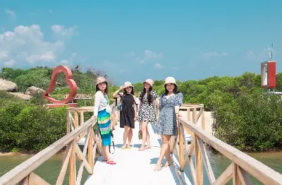 VÉ THAM QUAN ĐẢO KHỈ – ĐẢO HOA LAN (VỊNH NHA PHU) (ảnh 5)