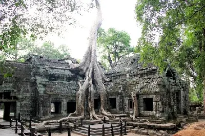 캄보디아 5일 투어: Siem Reap (사진 2)