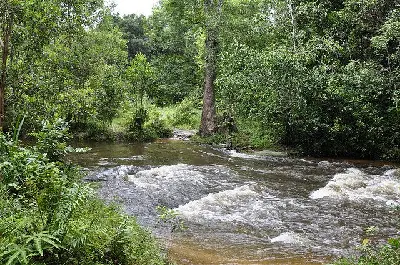 Tour Beng Mealea & Phnom Kulen trong ngày (ảnh 4)