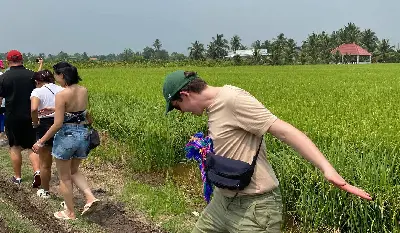 Tour địa đạo Củ Chi trong ngày (nhóm nhỏ) (ảnh 3)