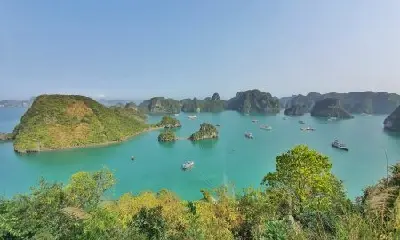 Tour vịnh Hạ Long trong ngày – Việt Nam (ảnh 5)