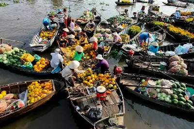 Tour Việt Nam 9 ngày: TP.HCM – Hà Nội – vịnh Hạ Long – Huế (ảnh 2)