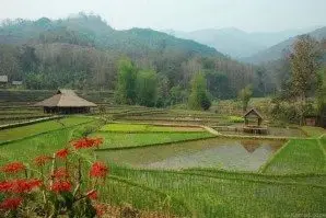 Du thuyền Việt Nam – Lào 3 ngày: Pakbeng – Luang Prabang