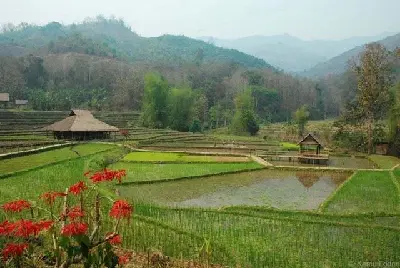 베트남 – 라오스 3일 크루즈: Pakbeng – Luang Prabang (사진 2)