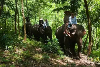 Luang Prabang 당일 투어 (사진 2)