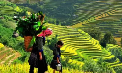 Tour Campuchia – Lào – Thái Lan trong ngày (ảnh 4)