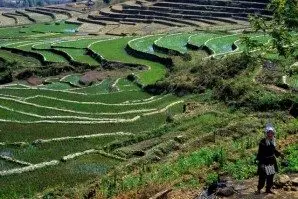 緬甸4天徒步行程：Nyaung Shwe – Heho – Inle湖 (照片 3)