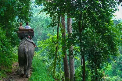 Tour trekking Thái Lan 7 ngày: Bangkok – Ayutthaya – Chiang Mai (ảnh 5)