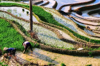 Tour Việt Nam 2 ngày: Hà Giang (ảnh 4)