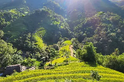 Tour Việt Nam 2 ngày: Hà Giang (ảnh 5)