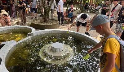 Tour Bến Tre & Mỹ Tho trong ngày (cao cấp) (ảnh 4)
