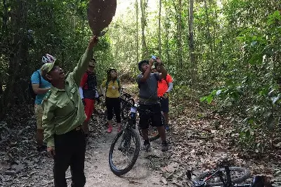 Tour trekking Việt Nam 1 ngày: TP.HCM (ảnh 2)