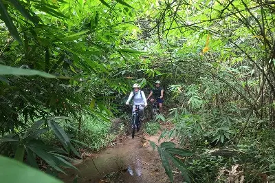 Tour trekking Việt Nam 1 ngày: TP.HCM (ảnh 4)